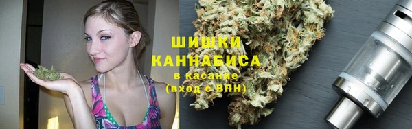 Альфа ПВП Новозыбков