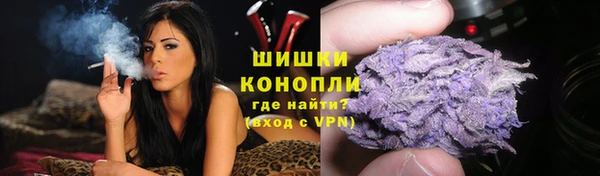 Альфа ПВП Новозыбков