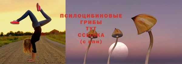 первитин Нягань