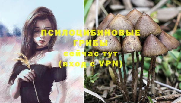 круглые Новокубанск