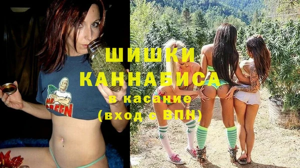 Альфа ПВП Новозыбков