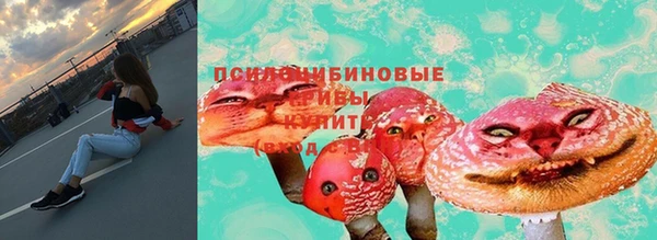 круглые Новодвинск