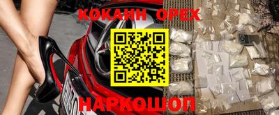 гидропоника Гатчина