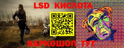 прущие грибы Дубна