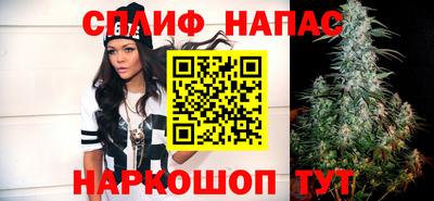 прущие грибы Дубна