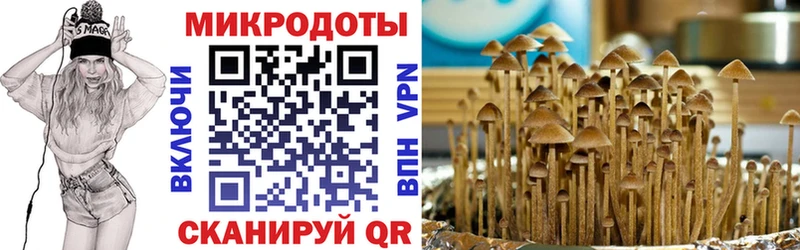 Псилоцибиновые грибы MAGIC MUSHROOMS  купить наркотик  Курчатов 